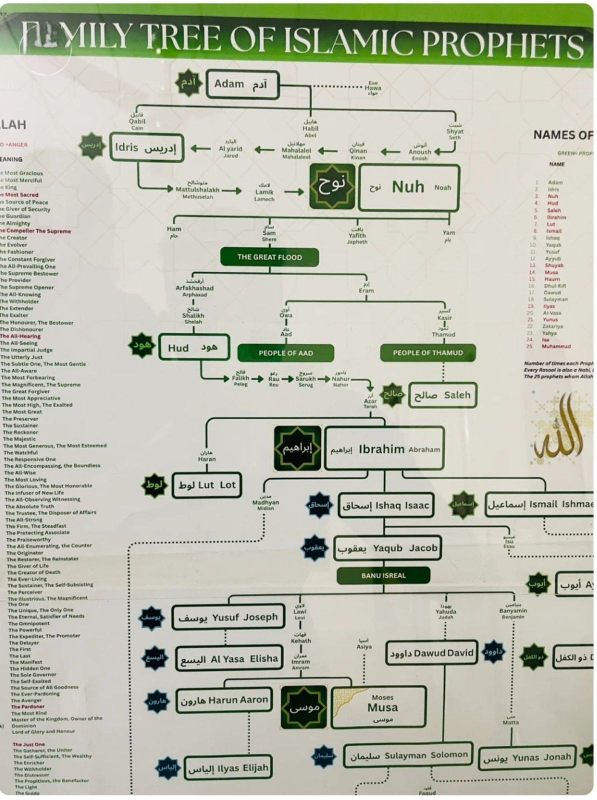 Prophet (PBUH) Family Tree