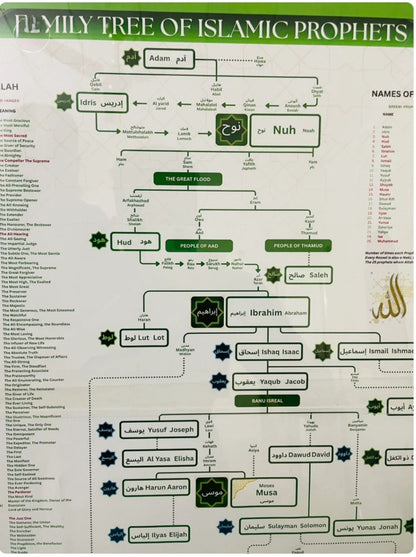 Prophet (PBUH) Family Tree