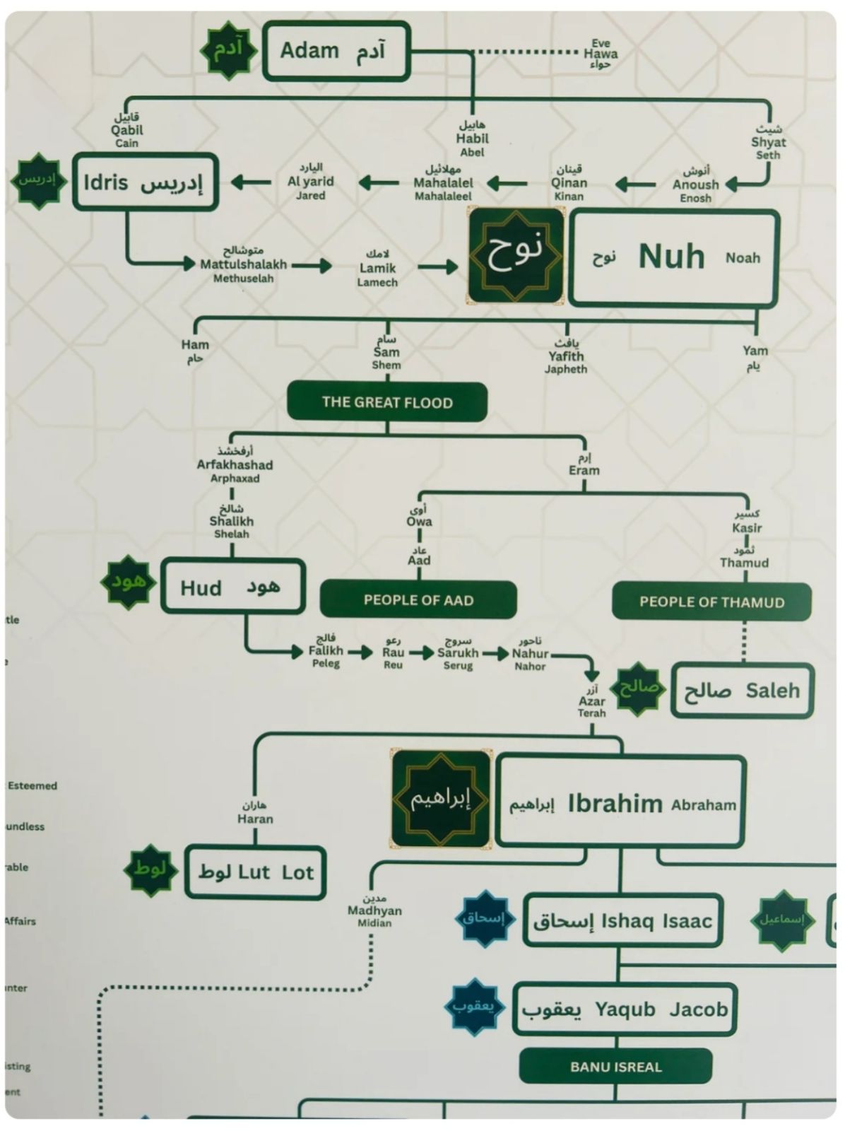Prophet (PBUH) Family Tree